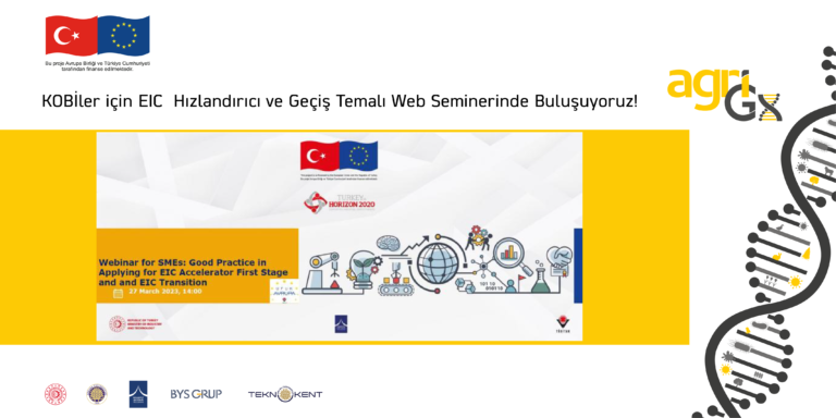 EIC Accelerator and Transition Themed Webinar for SMEs